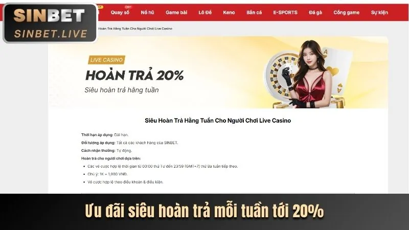 Hoàn trả cược thua hàng tuần